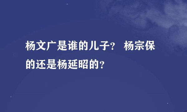 杨文广是谁的儿子？ 杨宗保的还是杨延昭的？