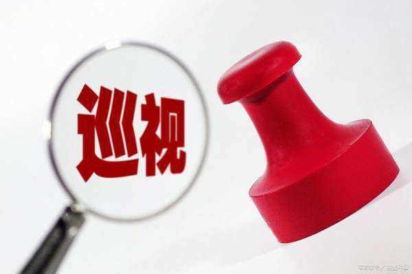 巡视员什么级别