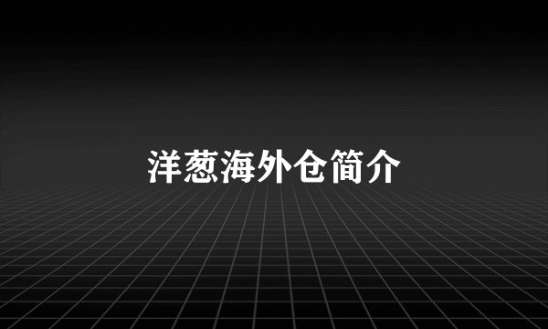 洋葱海外仓简介