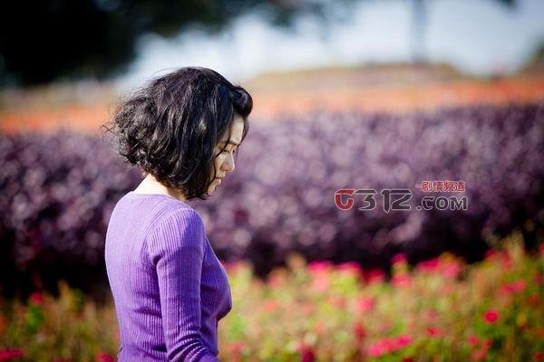 含苞欲坠的每一天的介绍