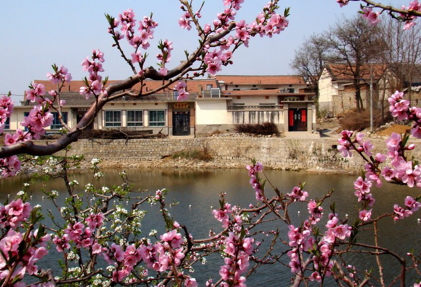 小村春光的内容简介