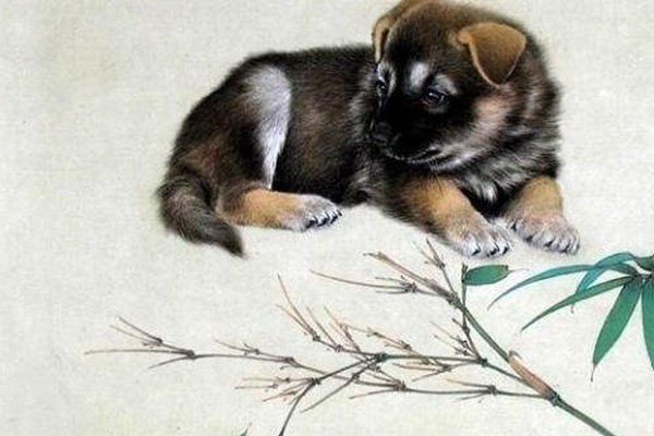 晏安鸩毒猜生肖