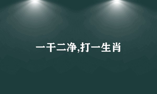 一干二净,打一生肖