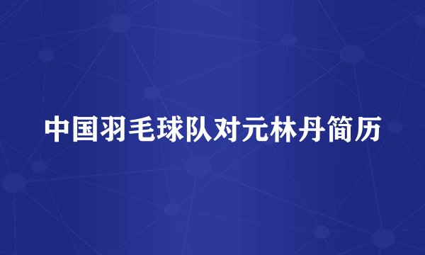 中国羽毛球队对元林丹简历