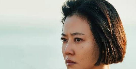 《对手》电视剧一共多少集?