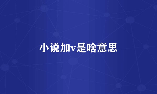 小说加v是啥意思