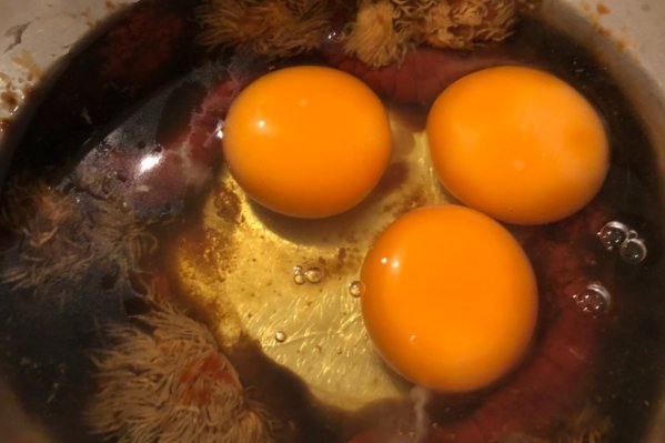 澳洲龙虾三吃的做法