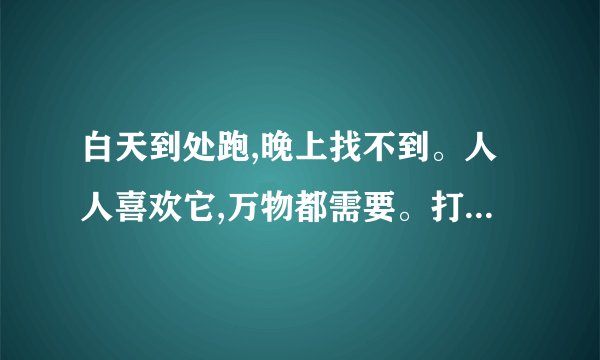 白天到处跑,晚上找不到。人人喜欢它,万物都需要。打一动物?