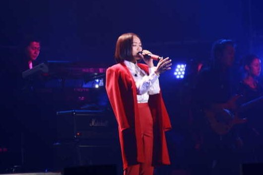 你说不会在爱情里犯错…这歌叫什么名