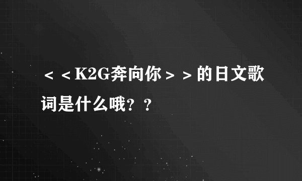 ＜＜K2G奔向你＞＞的日文歌词是什么哦？？