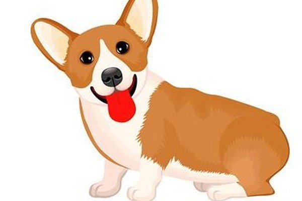 晏安鸩毒猜生肖