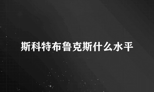 斯科特布鲁克斯什么水平