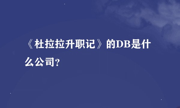 《杜拉拉升职记》的DB是什么公司？