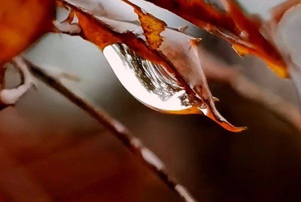 秋雨绵绵的拼音