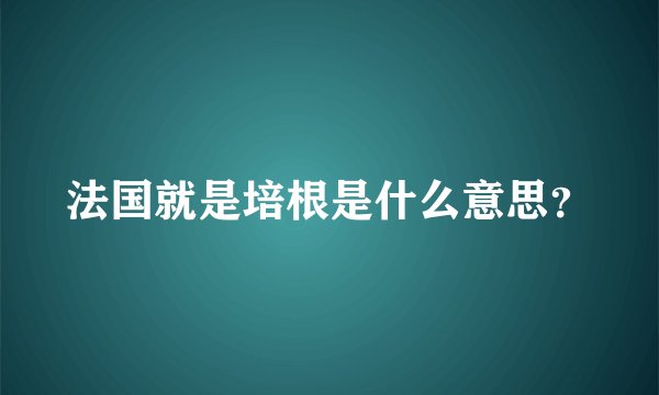 法国就是培根是什么意思？