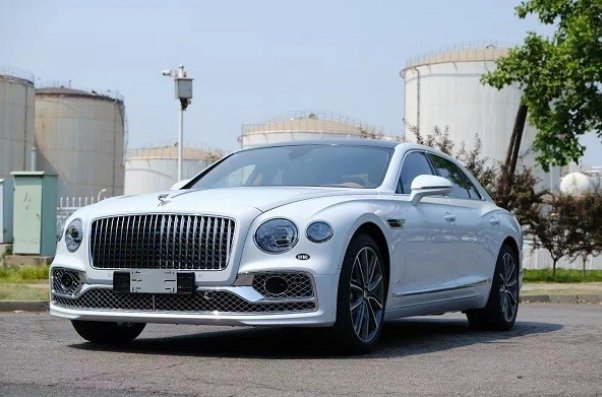 奔车朽索比喻什么生肖动物