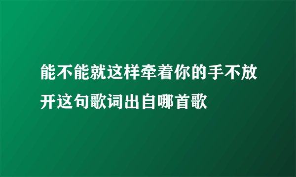 能不能就这样牵着你的手不放开这句歌词出自哪首歌