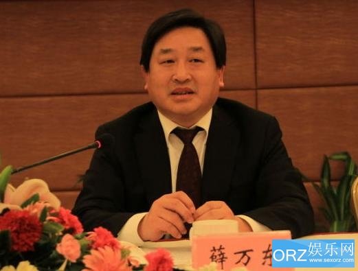 薛万东的工作简历