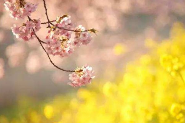 一抹暖阳唯美诗句有哪些？