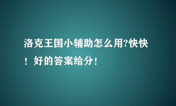 洛克王国小辅助怎么用?快快！好的答案给分！