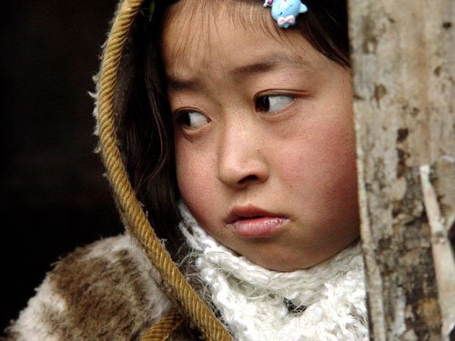 颍州的孩子的剧情简介