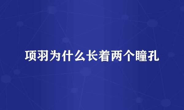 项羽为什么长着两个瞳孔