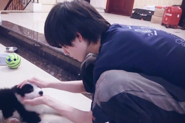 宋亚轩荧屏初吻贡献给宠物，他到底有多喜欢自己的狗狗？