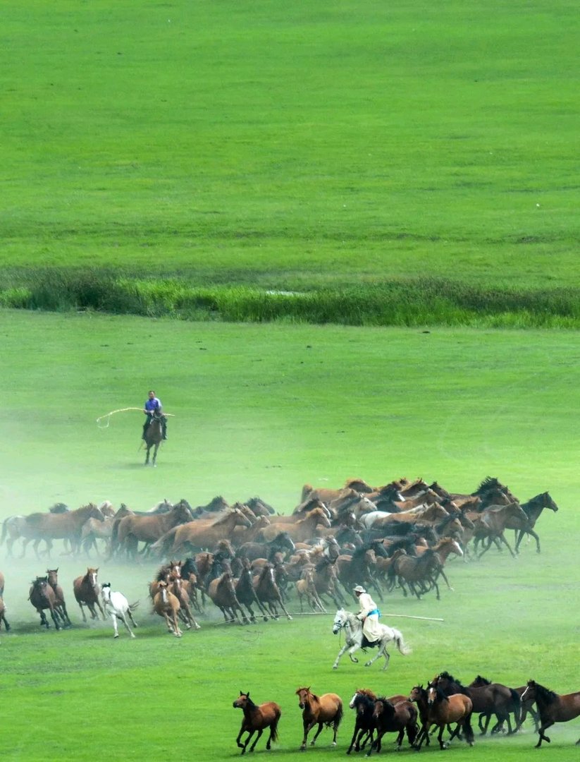 24节气今天是几伏？