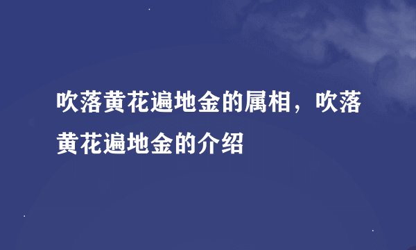 吹落黄花遍地金的属相，吹落黄花遍地金的介绍