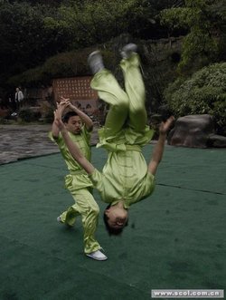 虎步功的第二式