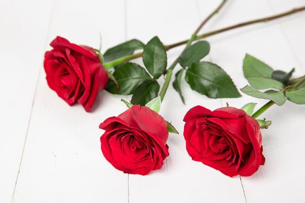 十朵玫瑰花代表什么意思?