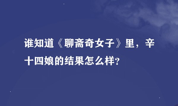 谁知道《聊斋奇女子》里，辛十四娘的结果怎么样？