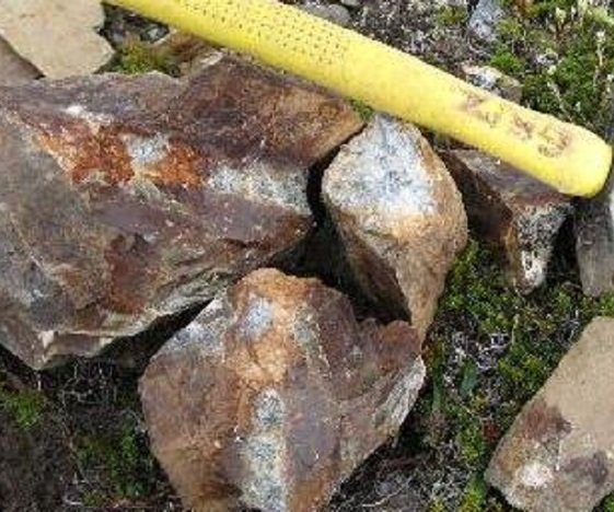 阿拉斯加金矿的赌注的视频简介