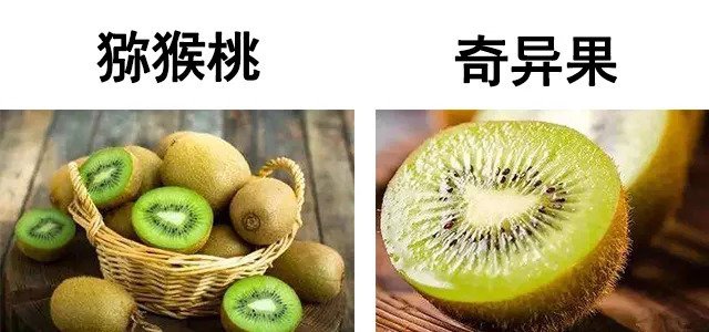 蚂蚁庄园奇异果和猕猴桃是同一种水果吗