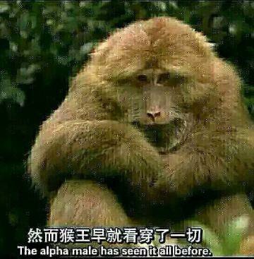 然而xx早已看穿了一切 这到底是什么梗