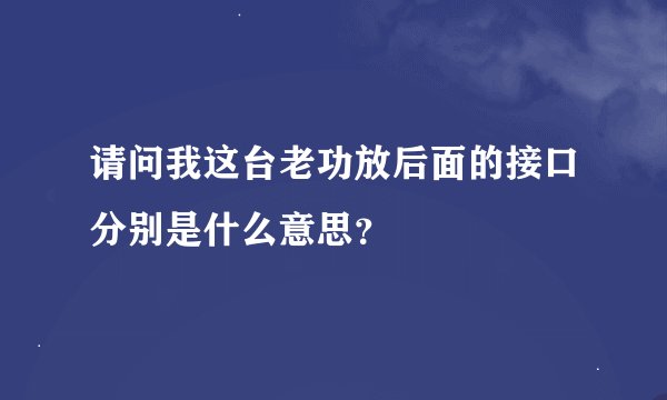 请问我这台老功放后面的接口分别是什么意思？