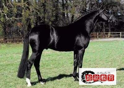 种马男有那几种表现