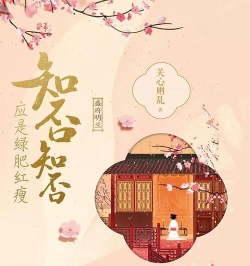 书 知否知否应是绿肥红瘦讲的什么故事