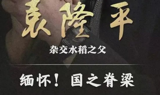 电影《袁隆平》收视创新高,拿下黄金档第一,他的影响力为何这么大?