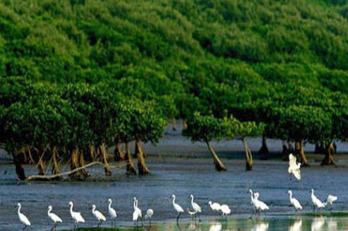 中国十大湿地排名