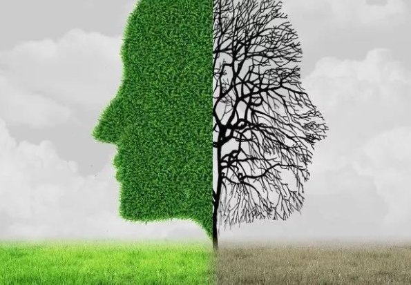 心情温度表中的湿度代表什么