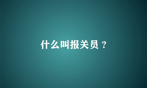 什么叫报关员 ?
