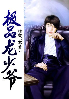 极品龙少爷的章节列表