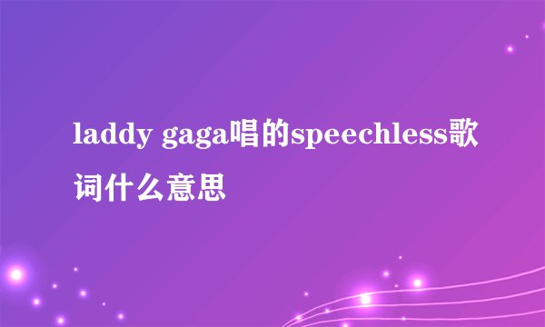 laddy gaga唱的speechless歌词什么意思