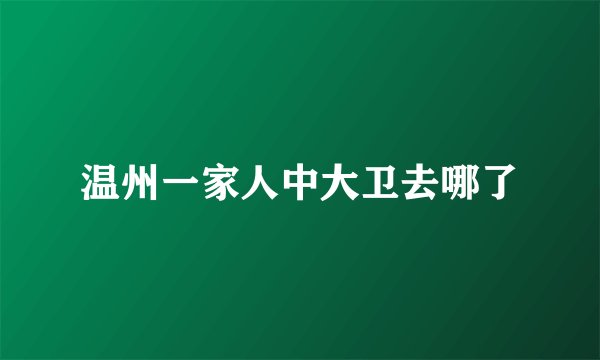 温州一家人中大卫去哪了