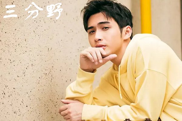 三分野大结局点