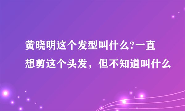 黄晓明这个发型叫什么?一直想剪这个头发，但不知道叫什么