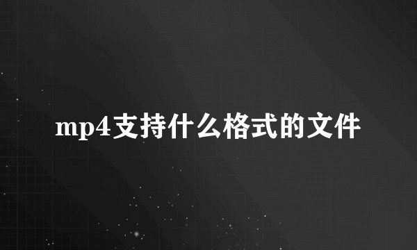mp4支持什么格式的文件