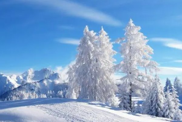 天下啥来云母粉