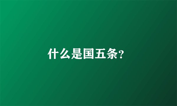 什么是国五条？